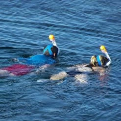 Gadgy Duikmasker Full Face Kinderen - Duikbril Met Snorkel - Snorkelset Kinderen - Snorkelmasker - Blauw 17 Gadgy Duikmasker Full Face Kinderen - Duikbril Met Snorkel - Snorkelset Kinderen - Snorkelmasker - Blauw -Speedo Winkel 1200x1200 126