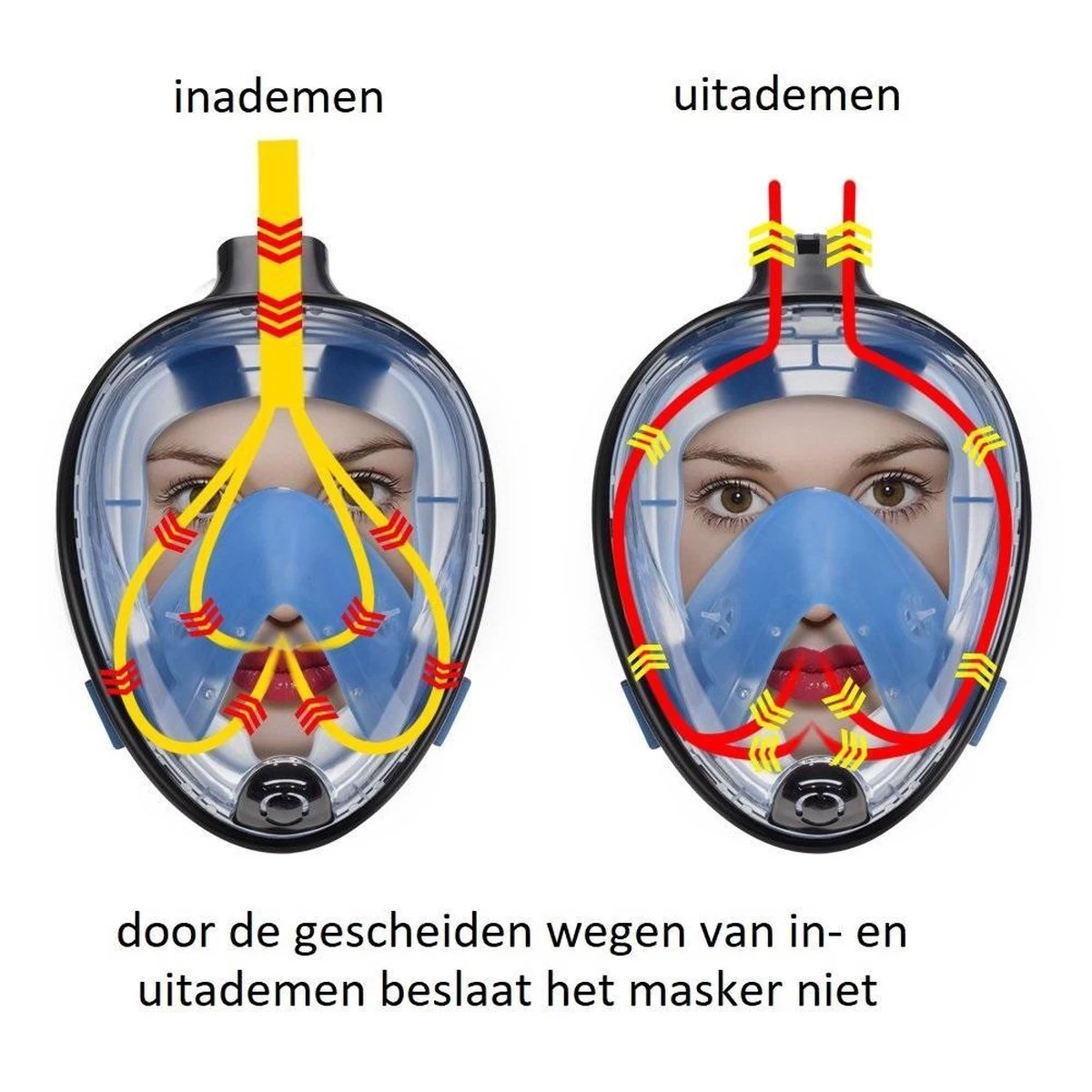 Campingwise Full Face Duikmasker - Snorkelmasker - Blauw - Maat S/M - Met Draagnet 11 Campingwise Full Face Duikmasker - Snorkelmasker - Blauw - Maat S/M - Met Draagnet - Afbeelding 9